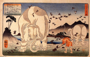 Utagawa-Kuniyoshi-Thaishun-with-elephants